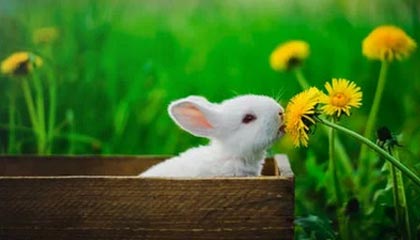 石家庄大雨城区多处积水断交 长城新媒体记者实地探访