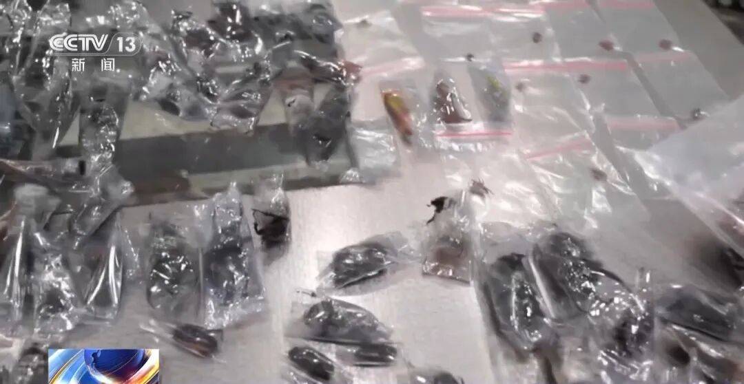 掀开衣服,密密麻麻!200多只活虫惊现深圳机场……