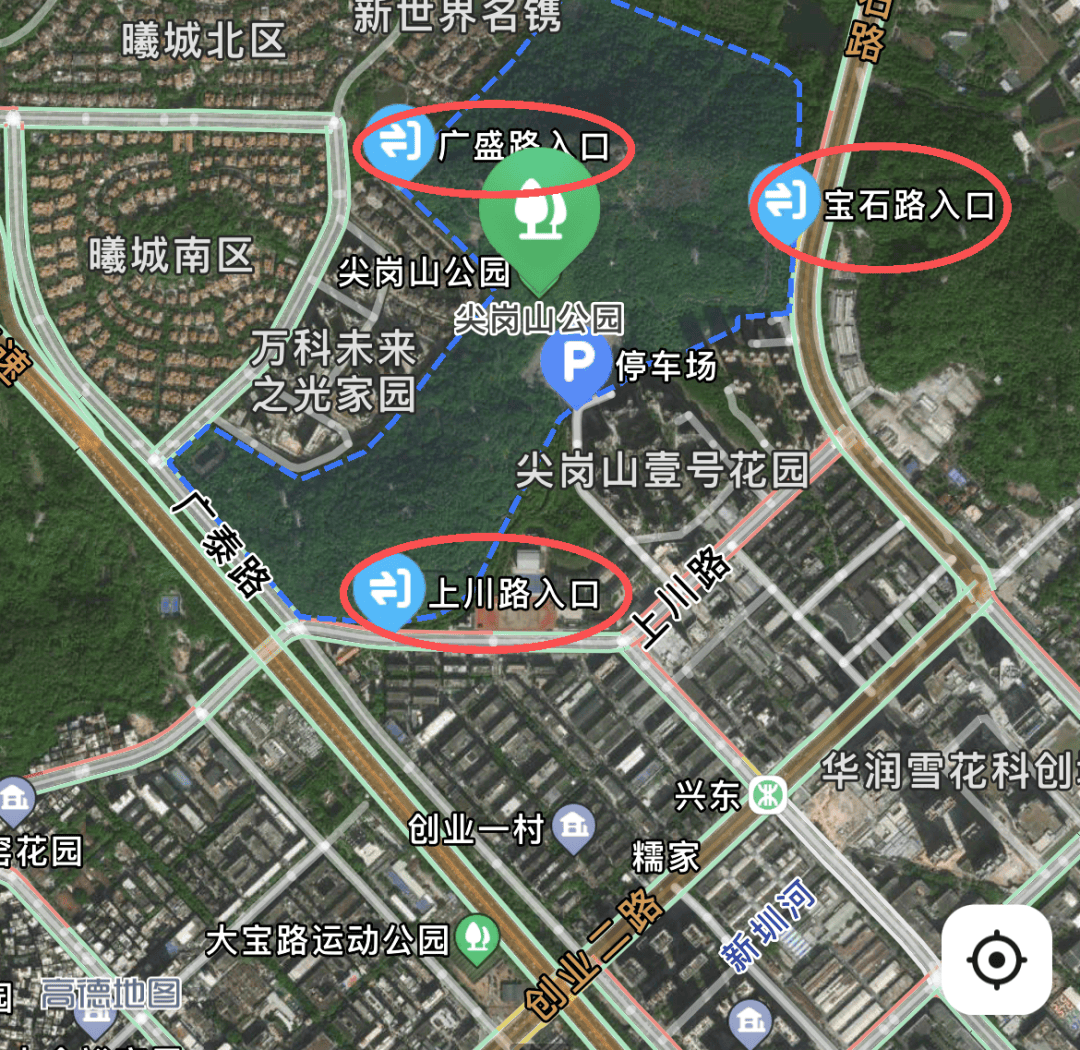 整改一年后,深圳这条路再被吐槽“怕成停车场”!多部门回应