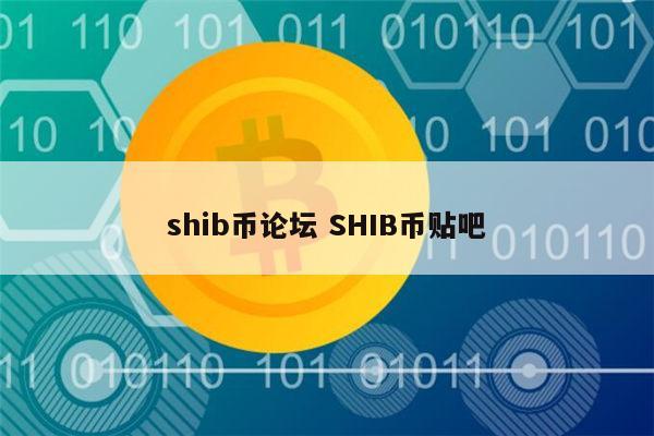 shib币在印度上交易所(印度coindcx交易所代币)