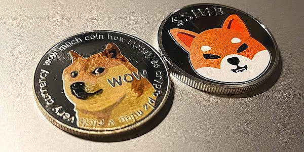 shib币共识群(shib币最新消息群)