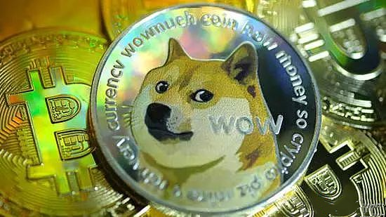 shib币和狗币的区别(shib币和狗狗币有关系吗)