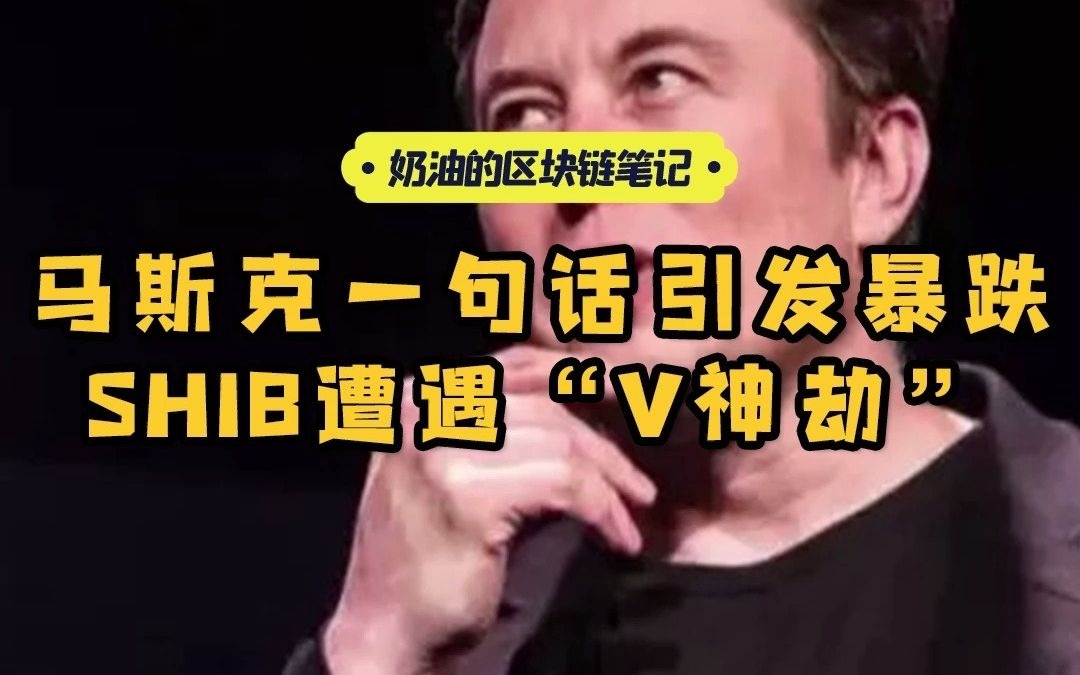 v神shib币直播(v神bzz币抛了吗)