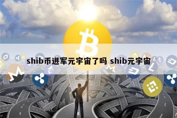 火币没有shib(shib币交易今日价格)