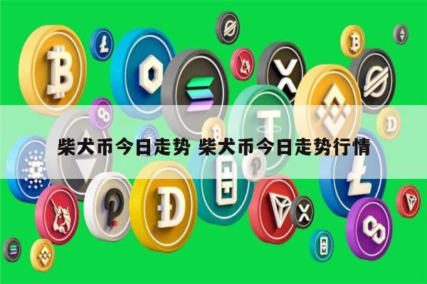柴犬币shib价格(柴犬币现在多少钱一枚)