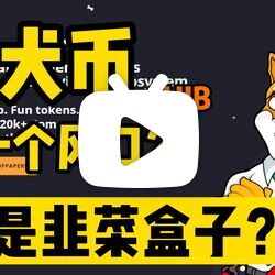 shib和狗狗币的区别(shib和狗狗币什么关系)