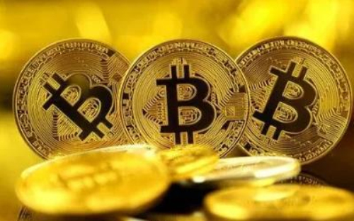 关于pig币和shib币的区别的信息