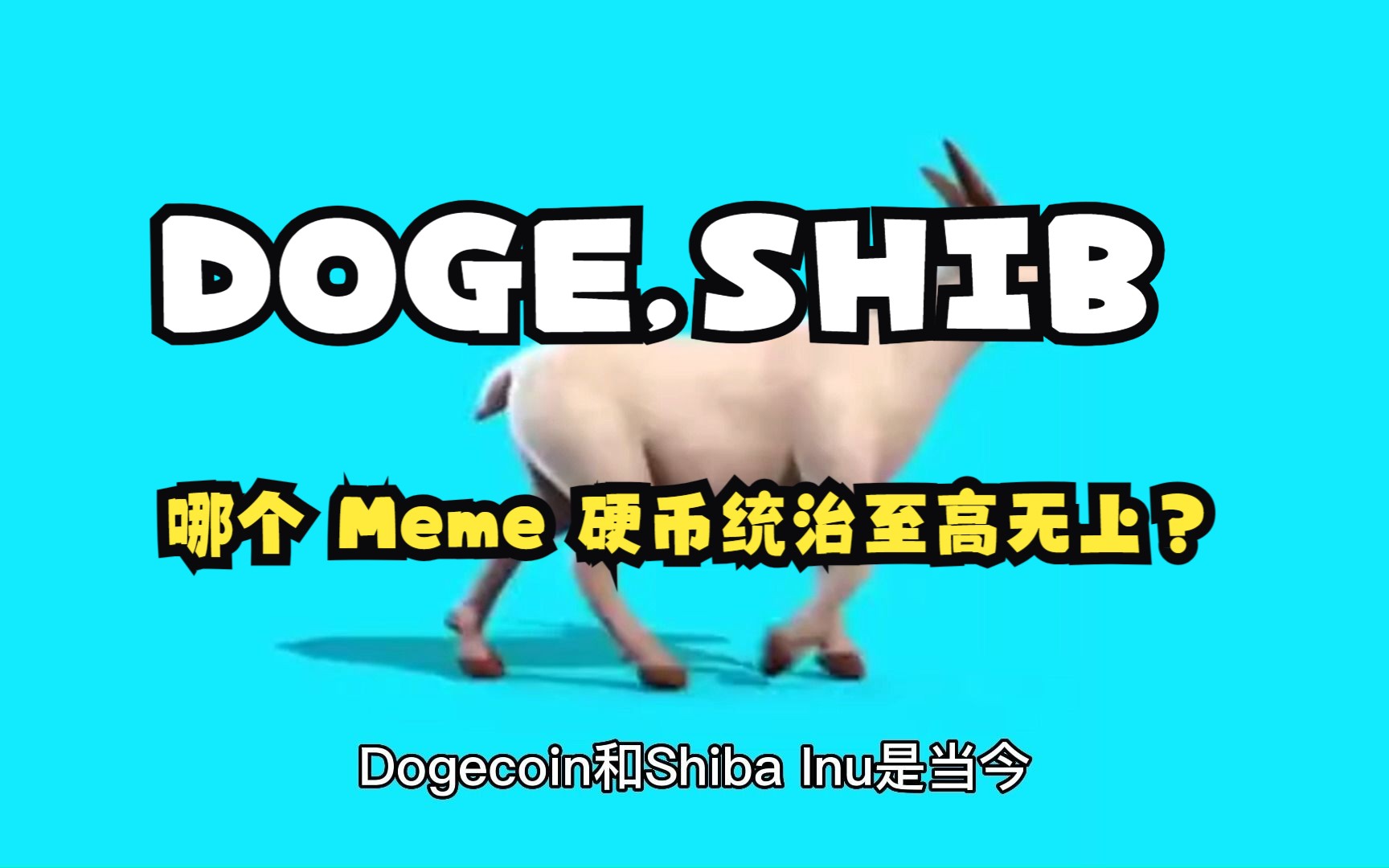 shib币和狗币的区别(shib币和狗狗币的关系)