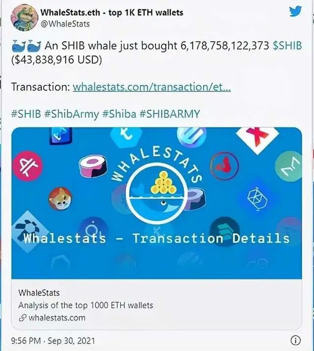 shib币的中文名字怎么读(shib币的中文名字怎么读啊)