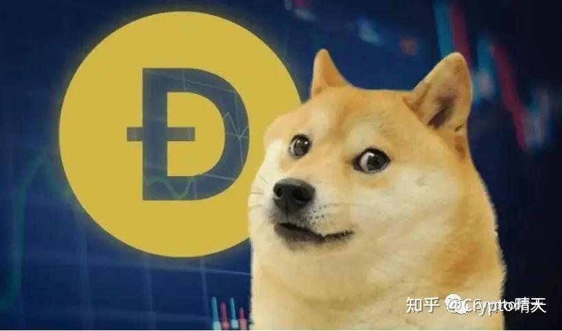 马斯克带shib币(马斯克带货shib币)