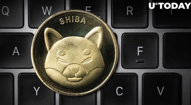 shib提币到im(bnb提币到imtoken)