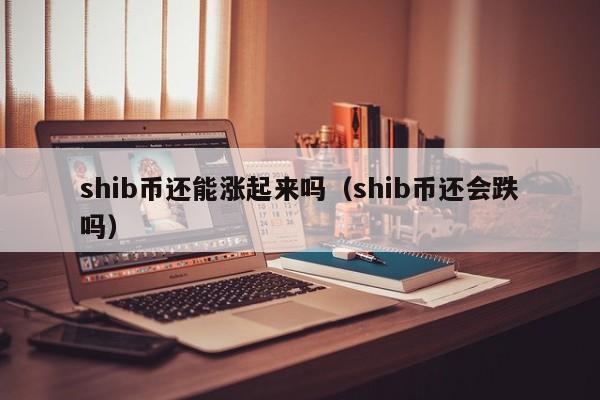 shib币是哪家公司开发的(shib币最早在哪个交易所上市)
