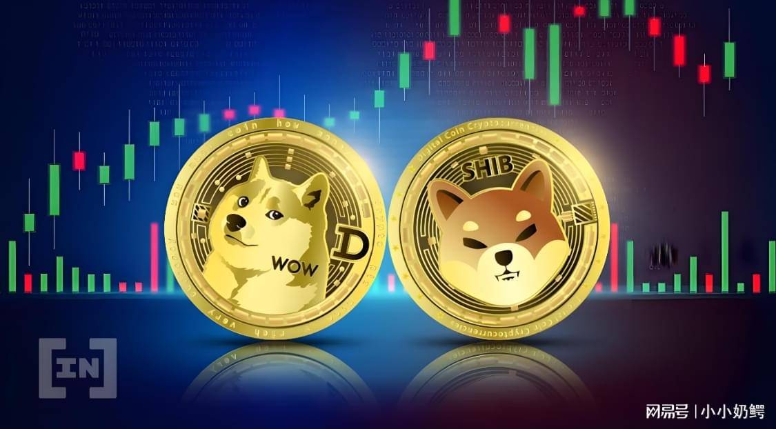 shib币5月8日价格(shib币价格今日行情金色财经)