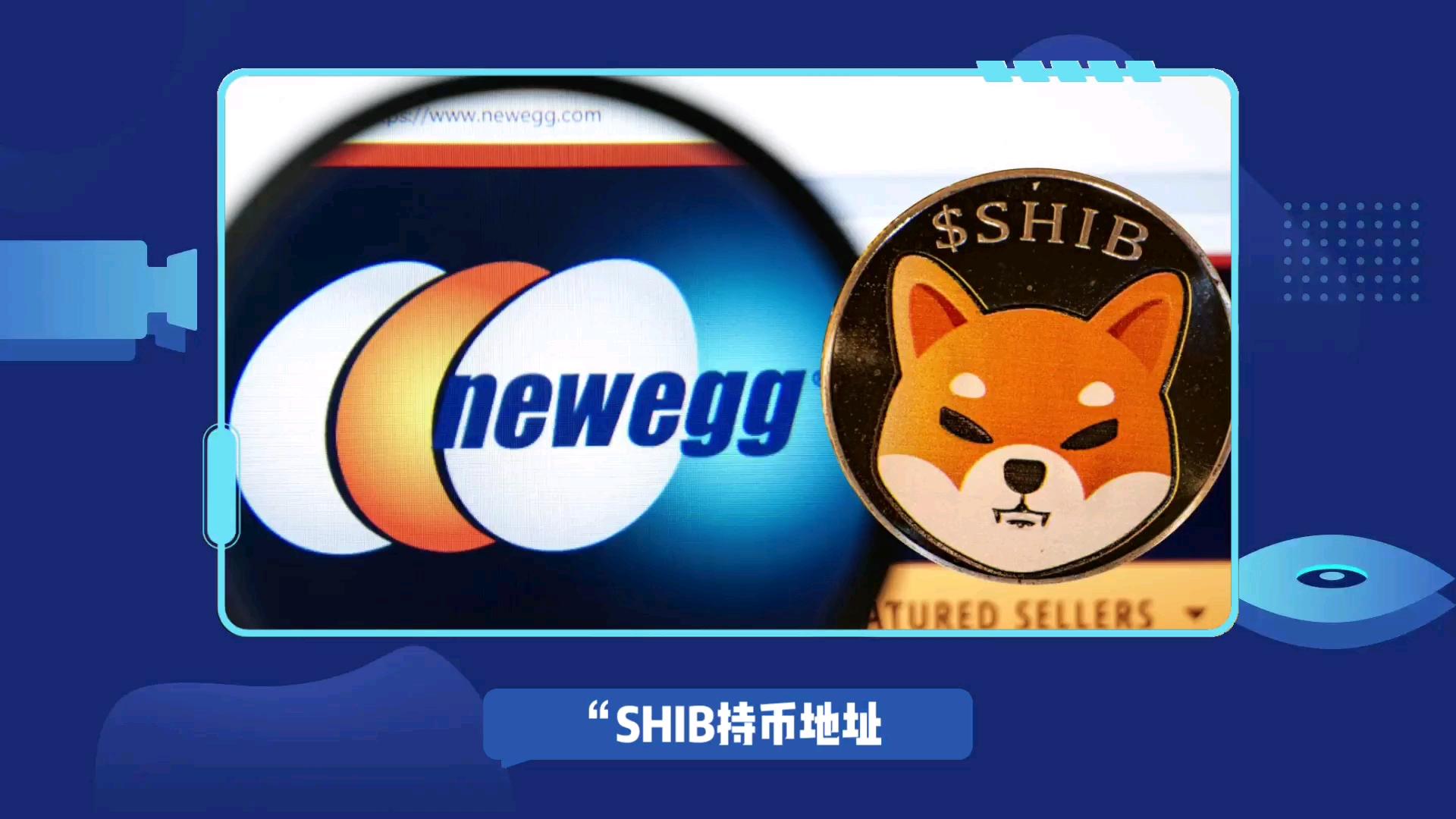 shib持币者数量(shib币十大持币地址)