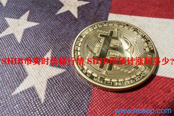 shib币流通市值(shib币最新价格走势图)