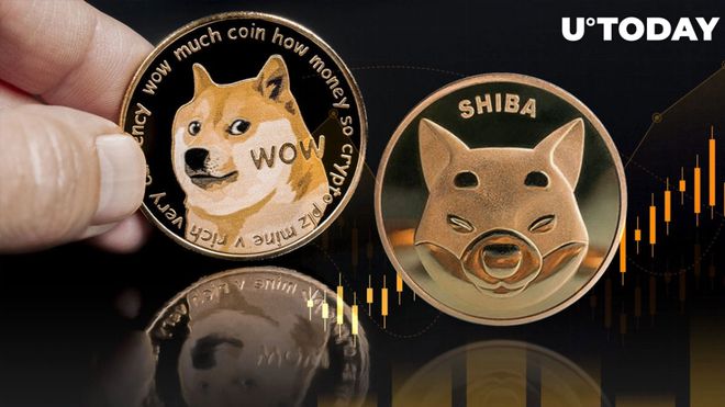 shib狗狗币(比特币暴涨SHIB价格暴跌)