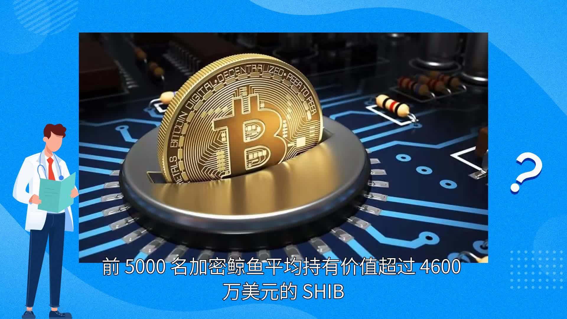 shib币消息(shib币最新新闻)