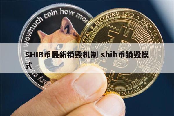 shib币有什么利好(shib币到底有没有前景)