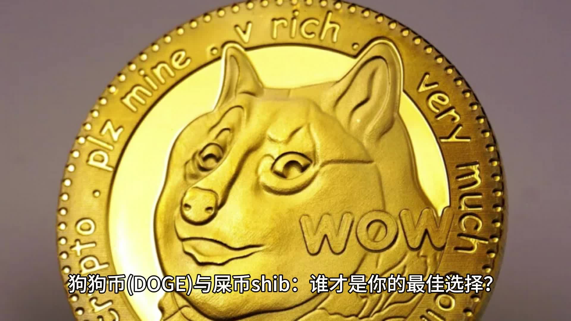 shib屎币百度百科(shib币屎币最新消息)