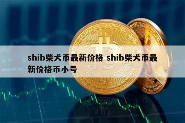 shib币最新价格消息(shib币价格今日行情金色财经)