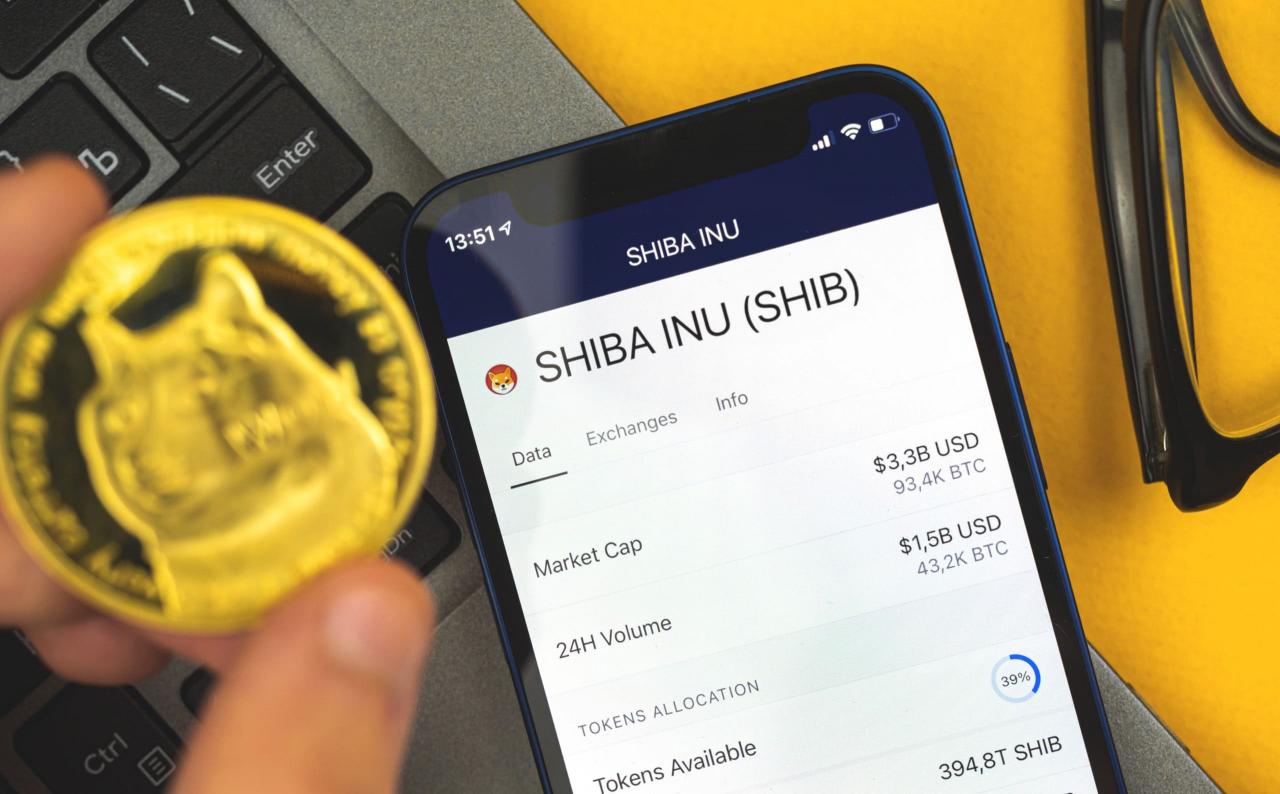 shib能超过狗狗币吗(shib币未来达到100元)