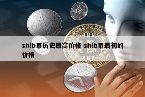除了SHIB币(现在除了比特币还有什么币可以买)