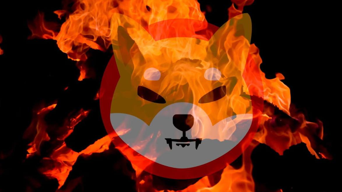 shib币有没有销毁机制(一千块钱买了shib赚了7200万)