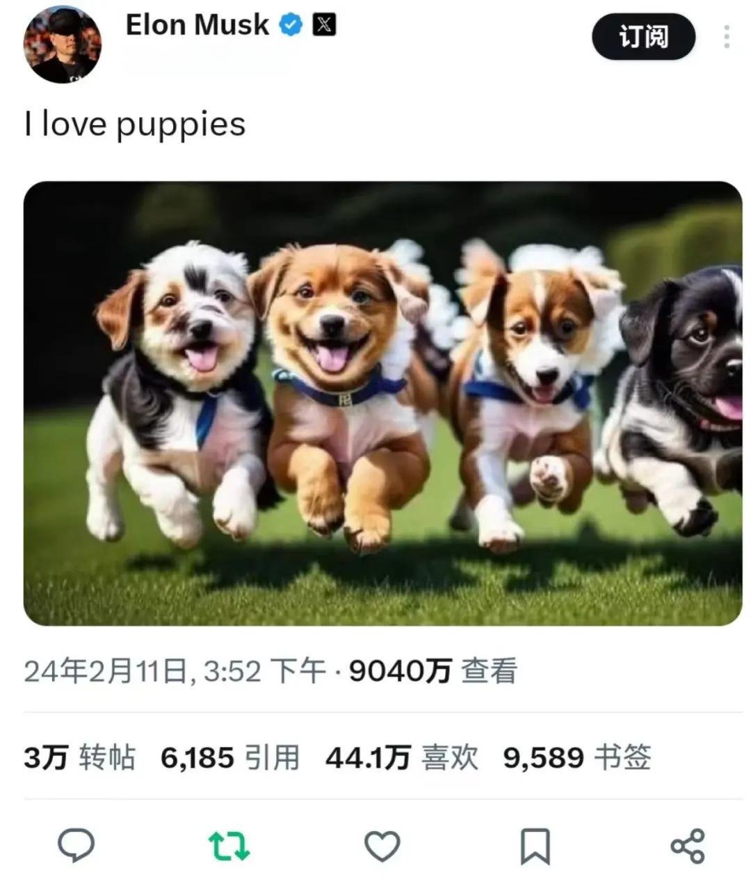 马斯克shib币(马斯克shib币直播) 马斯克shib币(马斯克shib币直播)