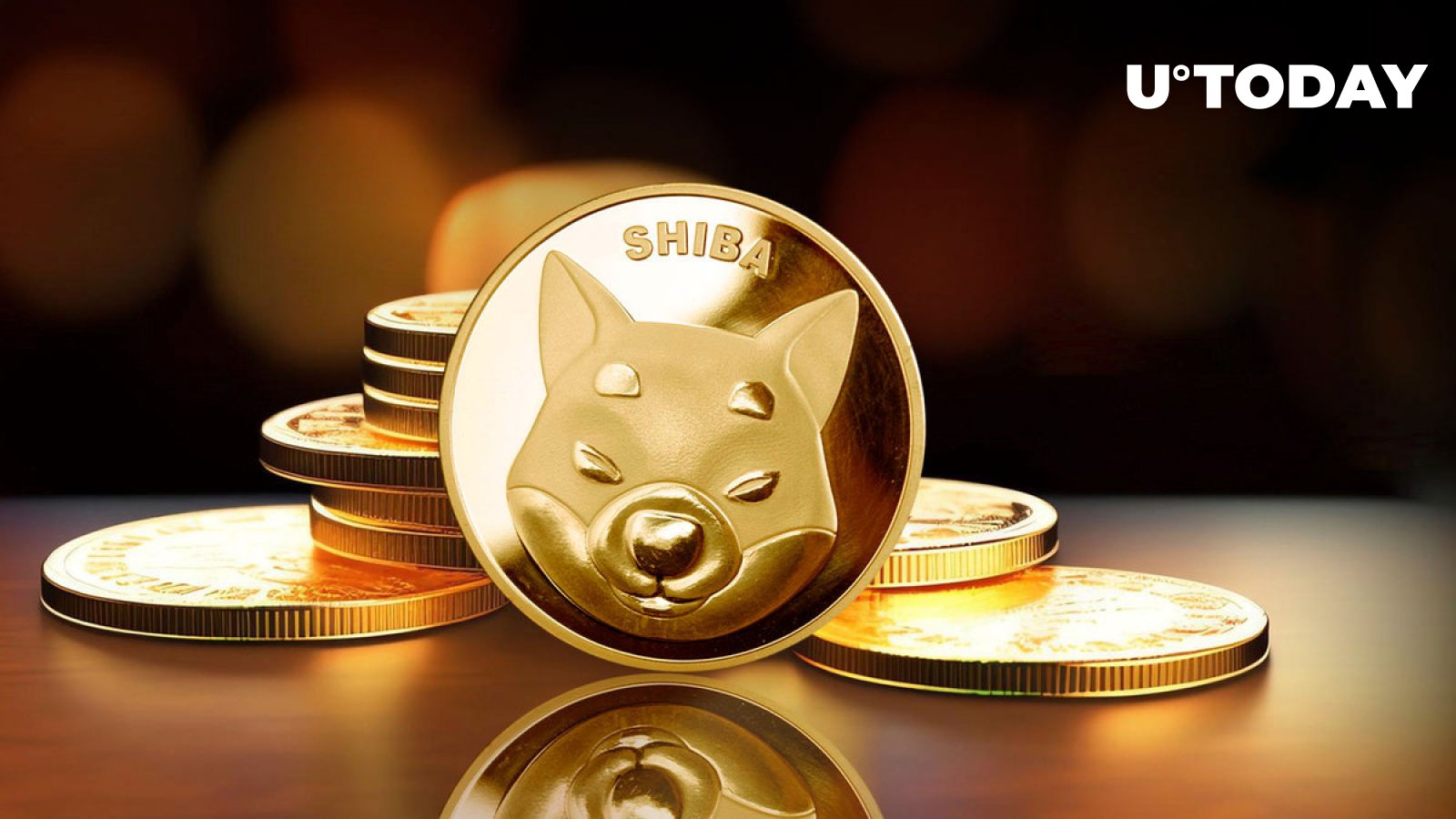 shib币一共翻了多少倍(一千块钱买了shib赚了7200万)