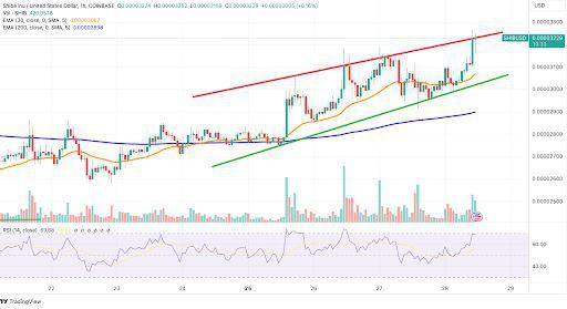 shib币会越来越少(shib币会涨到01美元吗) shib币会越来越少(shib币会涨到01美元吗)