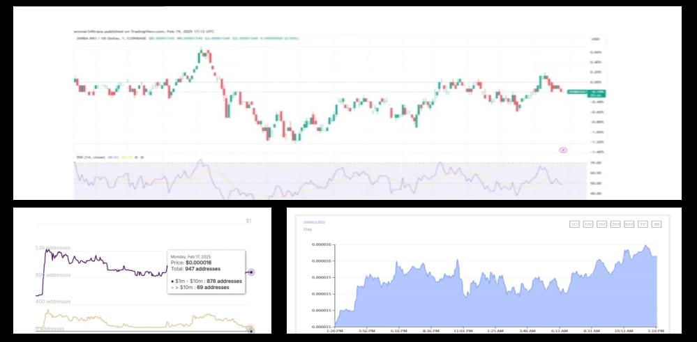 包含币市行情看SHIB前景的词条 包含币市行情看SHIB前景的词条
