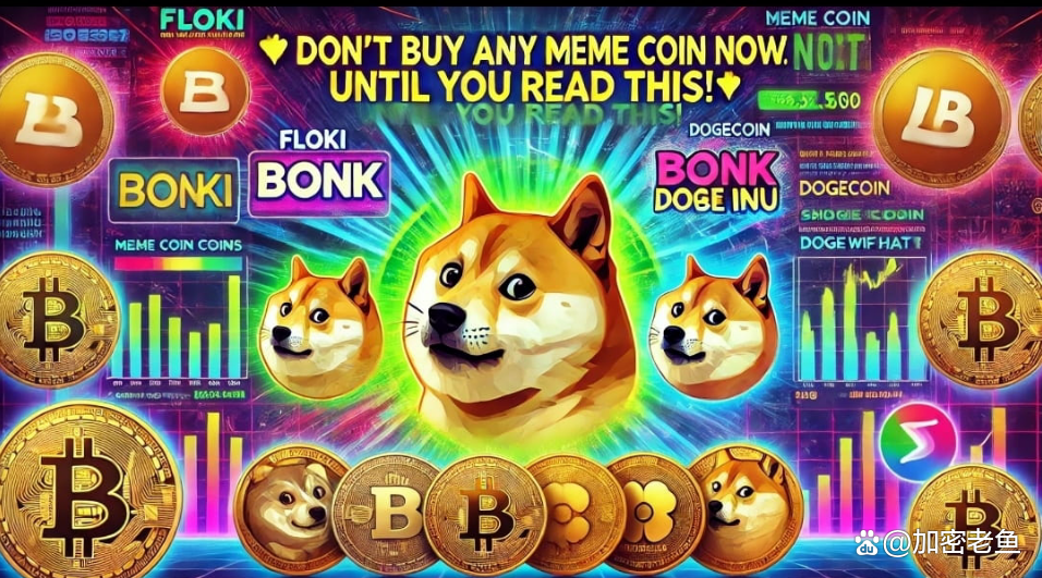 shib币为印度(shib币捐给印度)