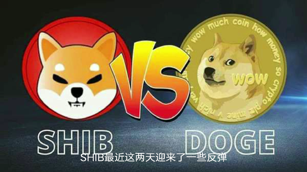 akita和shib币的简单介绍