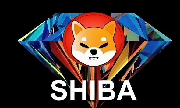 shib币属于什么链(shib币是个币有没有潜力)