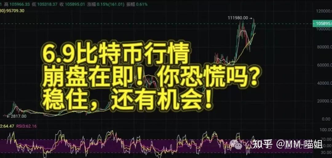 shib币最新消息暴跌(shib币价格今日行情走势)