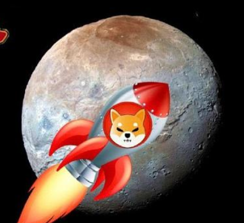 shib币最早上线(shib币最早在哪个交易所上市)