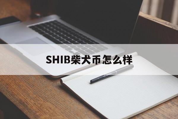 SHIB柴犬币怎么样(shib柴犬币今日行情)